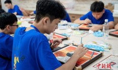 海外华裔青少年寻根溯源 感受闽宁协作发展成果