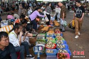 食用菌专家孙达锋：为“云南菌子”固本立标长成产业